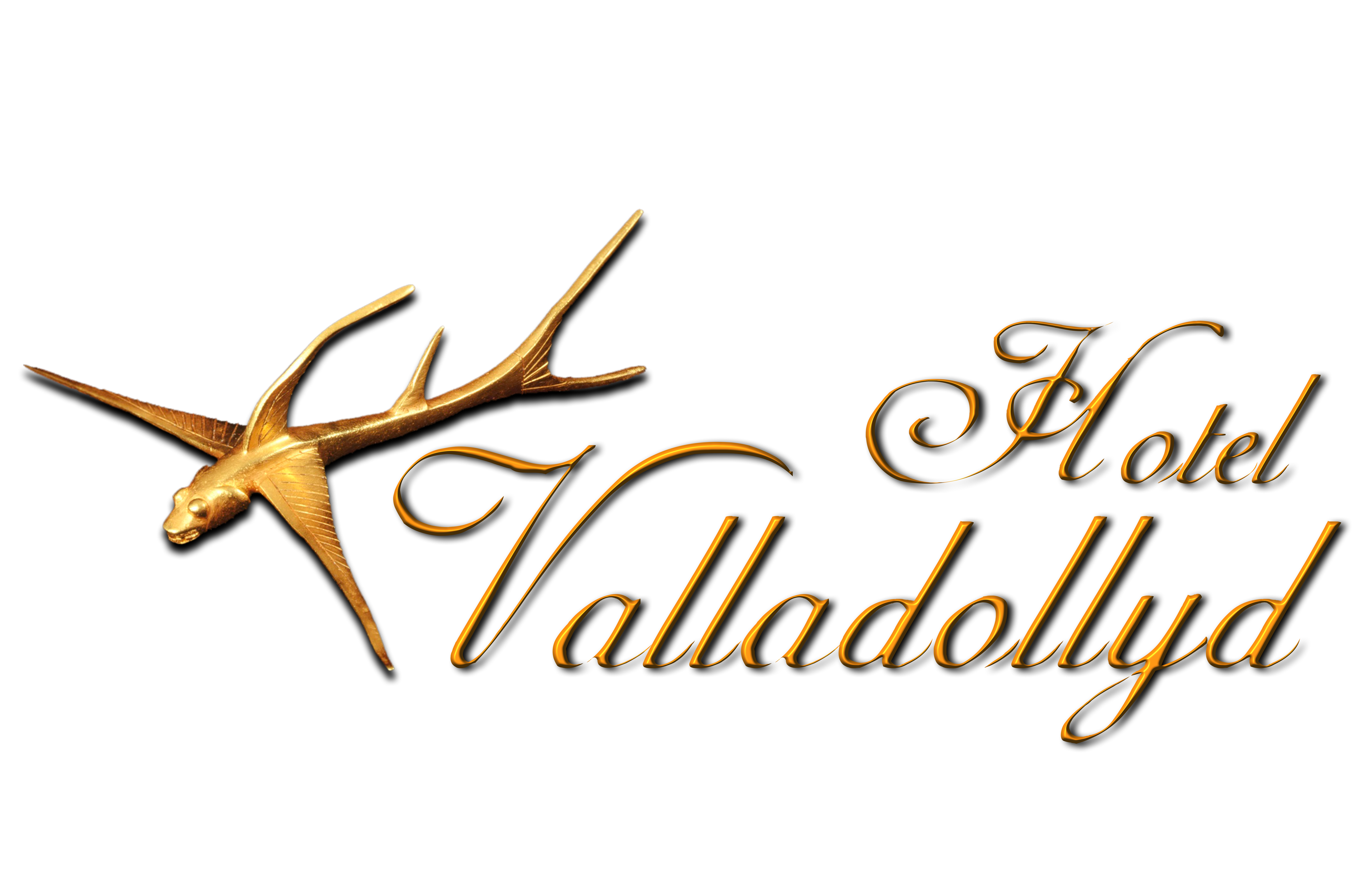 cropped-LOGO-VALLADOLLYD-2022-1.png